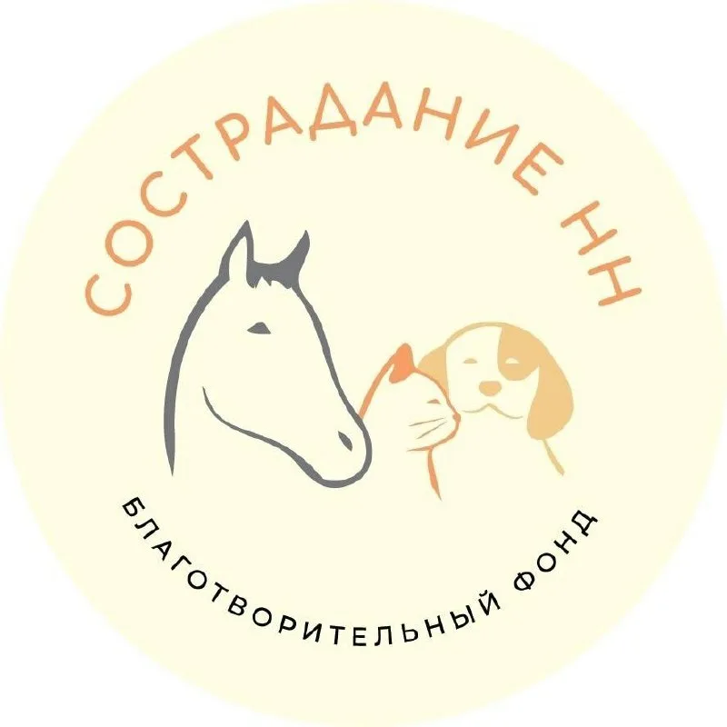 Благотворительный фонд Сострадание НН